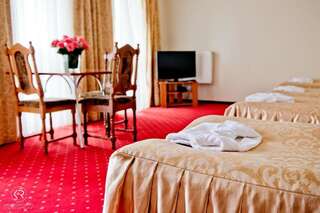 Отель Hotel Groman Сенкоцин Двухместный номер с 1 кроватью или 2 отдельными кроватями-5